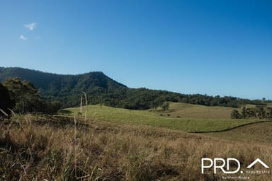 Property Lot 28, 46 Lynches Creek Road, WIANGAREE NSW 2474 IMAGE 0