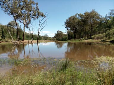 Property Lot 85 Springfield Road, Mole River NSW 2372 IMAGE 0