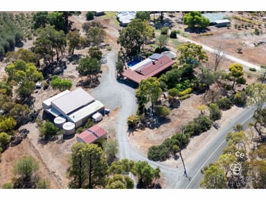Property 91 Tyeka Drive, One Tree Hill SA 5114 IMAGE 0