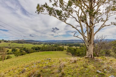 Property 1712 Stroud Hill Road, Dungog NSW 2420 IMAGE 0