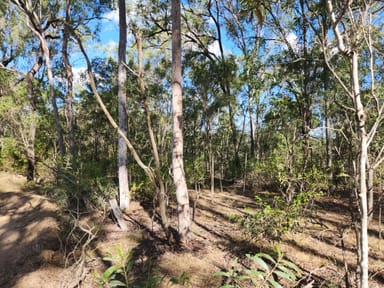 Property Lot 5 Duckpond Road, MOOLBOOLAMAN QLD 4671 IMAGE 0