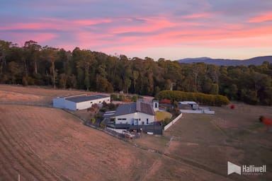 Property 93 Shaw Street, Latrobe TAS 7307 IMAGE 0