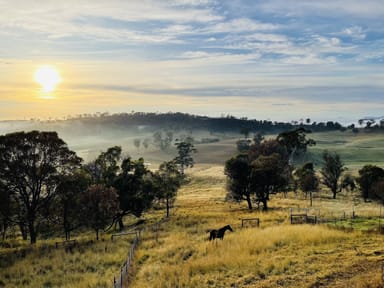 Property 102 Niagara Lane, TANTAWANGALO NSW 2550 IMAGE 0