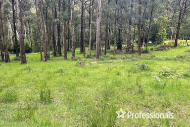 Property 160 Fisherman Drive, Reefton VIC 3799 IMAGE 0