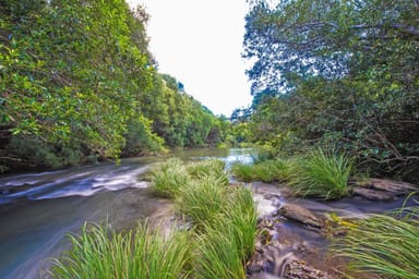 Property Coorabell NSW 2479 IMAGE 0