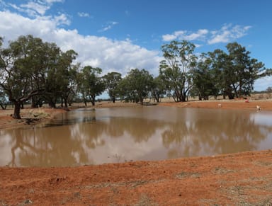 Property 20 Campbells Lane, Coolamon NSW 2701 IMAGE 0