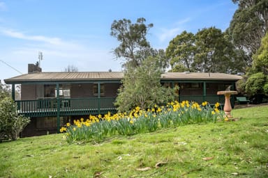 Property 43 Masons Road, ROSEVEARS TAS 7277 IMAGE 0