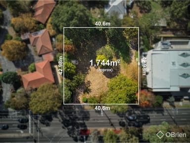 Property 241-243 Canterbury Road, Blackburn VIC 3130 IMAGE 0