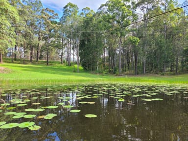 Property 1478 Collombatti Road, Collombatti NSW 2440 IMAGE 0