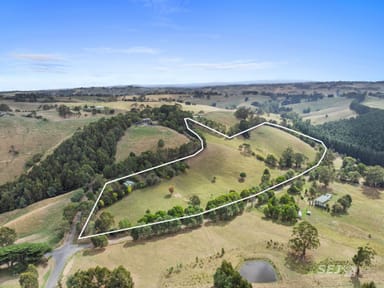 Property 325 One Chain Road, KARDELLA VIC 3951 IMAGE 0
