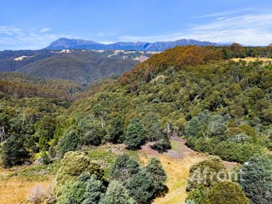 Property 779 Cradle Mountain Road, Erriba TAS 7310 IMAGE 0