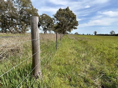 Property 7884 Casterton - Apsley Rd, Apsley VIC 3319 IMAGE 0