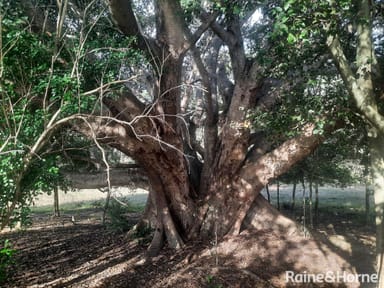 Property Lot 2 Tunnel Road, BOOLBOONDA QLD 4671 IMAGE 0