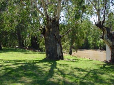 Property Sandalwood Drive Sandalwood Drive, Goondiwindi QLD 4390 IMAGE 0