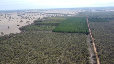 Property Lot 1 Jim Ryans Road, Edenhope VIC 3318 IMAGE 0