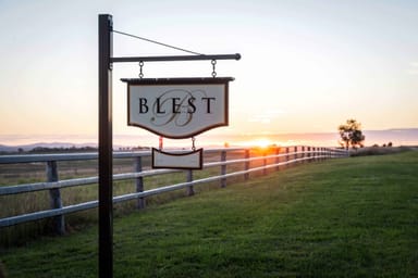 Property 241 Elphinstone Road, Allora QLD 4362 IMAGE 0