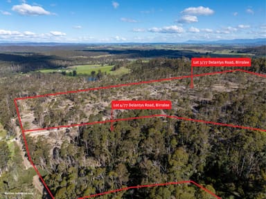 Property 3 & 4 Delantys Road, Birralee TAS 7303 IMAGE 0