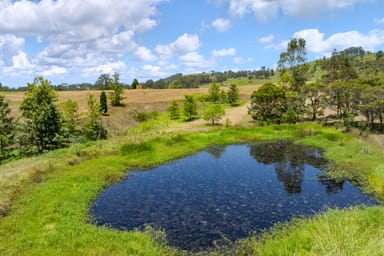 Property 703 Fosterton Road, Dungog NSW 2420 IMAGE 0