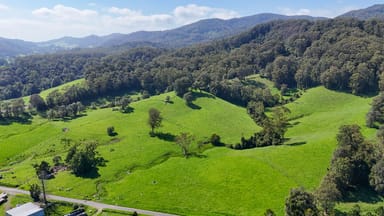 Property 329 South Island Loop Road, UPPER ORARA NSW 2450 IMAGE 0