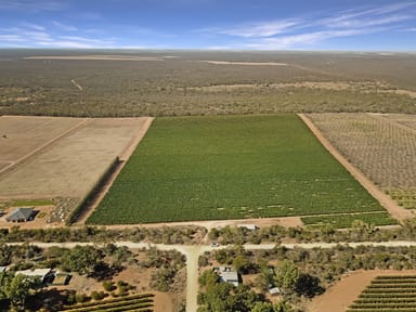 Property 314 Costello Road, Loveday SA 5345 IMAGE 0