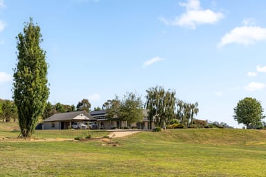 Property 38 Little Oakey Road, Burra NSW 2620 IMAGE 0