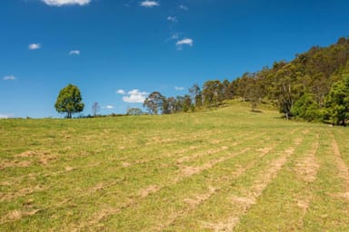 Property 1192 Herberts Road, BALLENGARRA NSW 2441 IMAGE 0