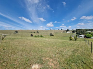 Property Lot 336 Neil McInerney Street, GUNDAGAI NSW 2722 IMAGE 0