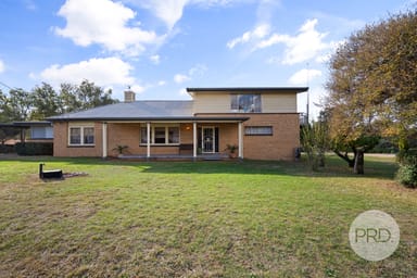 Property 20 Benedict Avenue, SAN ISIDORE NSW 2650 IMAGE 0
