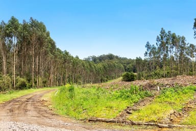 Property 165 Hiders Access Road, Yuulong VIC 3237 IMAGE 0