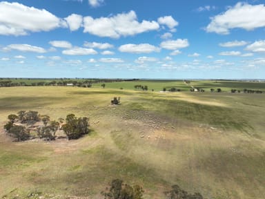 Property Multi Lot Kellerberrin-Shackleton Rd, Kellerberrin WA 6410 IMAGE 0