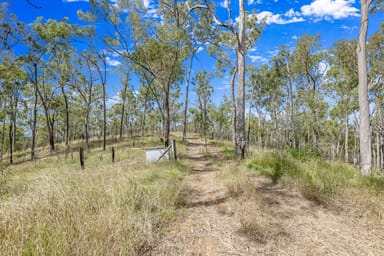 Property 151 Findlay Road, DUINGAL QLD 4671 IMAGE 0