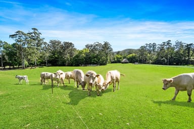 Property 1555 Yarramalong Road, Yarramalong NSW  IMAGE 0