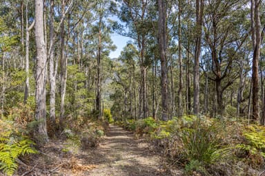 Property Lot 1, Huon Highway, SURGES BAY TAS 7116 IMAGE 0