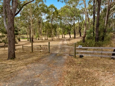 Property 516A Porcupine Ridge Road, PORCUPINE RIDGE VIC 3461 IMAGE 0