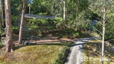 Property 24 Judkins Avenue, Belgrave VIC 3160 IMAGE 0