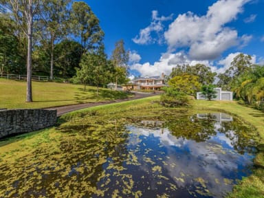 Property 246 Crane Cresent, Nerang QLD 4211 IMAGE 0
