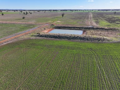 Property 377, Troths Lane, QUANDIALLA NSW 2721 IMAGE 0