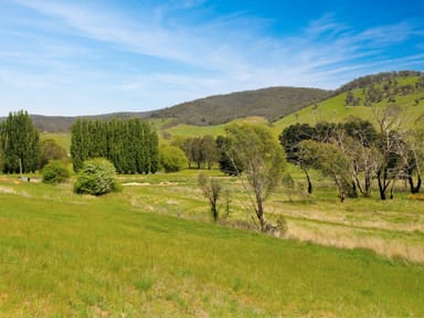 Property 303 Omeo Highway, OMEO VIC 3898 IMAGE 0