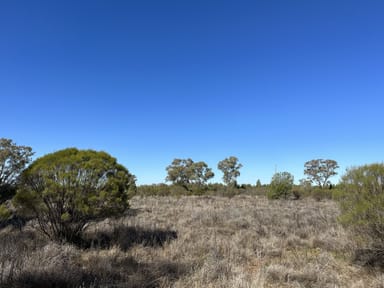 Property 22 Balowra Road, NYMAGEE NSW 2831 IMAGE 0