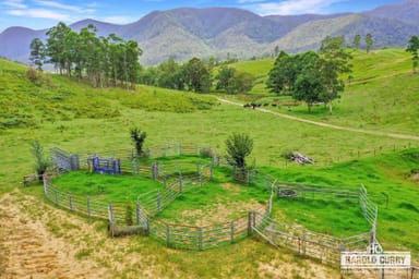 Property 1806 Upper Rocky River Road, TENTERFIELD NSW 2372 IMAGE 0