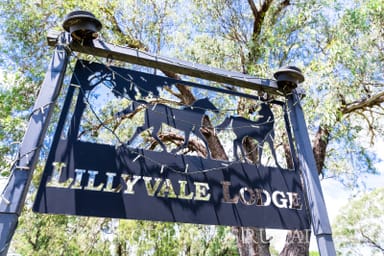 Property 206 Six Mile Road, Pink Lily QLD 4702 IMAGE 0