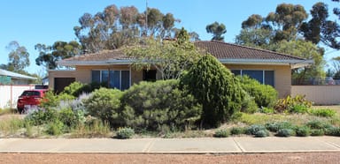 Property 22 & 24 Stacy St, DOWERIN WA 6461 IMAGE 0