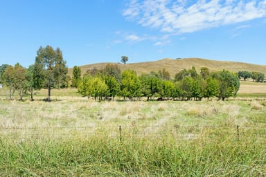 Property Dandaloo Estate Tallangatta Creek Road, TALLANGATTA VALLEY VIC 3701 IMAGE 0