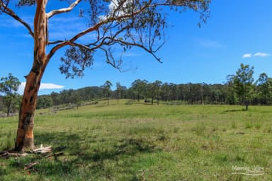 Property 141 Kings Creek Road, KRAMBACH NSW 2429 IMAGE 0