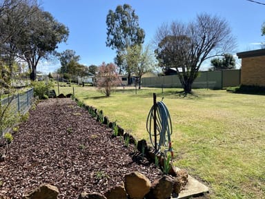 Property 22 Flynn Avenue, BARRABA NSW 2347 IMAGE 0