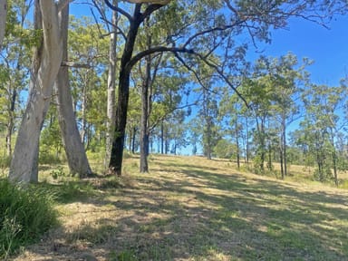 Property 2181 Bulga Road, BOBIN NSW 2429 IMAGE 0