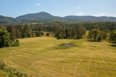 Property 1192 Herberts Road, BALLENGARRA NSW 2441 IMAGE 0