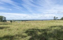 Property 10 Braunstone Road, Braunstone NSW 2460 IMAGE 0