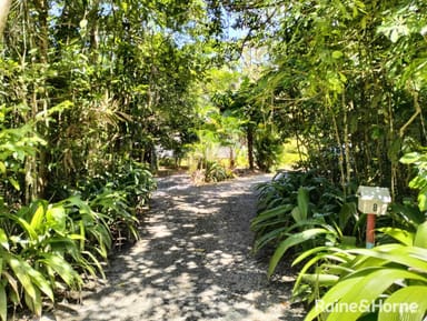 Property 32 Nicole Drive, Cape Tribulation, DAINTREE QLD 4873 IMAGE 0