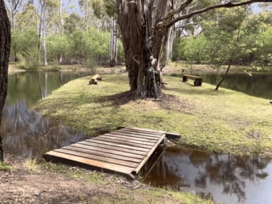 Property 169 Rosebrook-glenisla Rd, Wartook VIC 3401 IMAGE 0